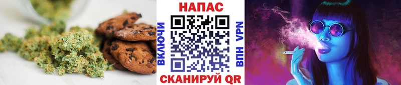 где можно купить наркотик  Горно-Алтайск  MEGA как войти  Еда ТГК конопля 