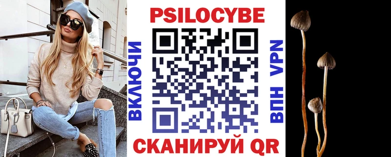 закладка  Горно-Алтайск  Галлюциногенные грибы Psilocybe 