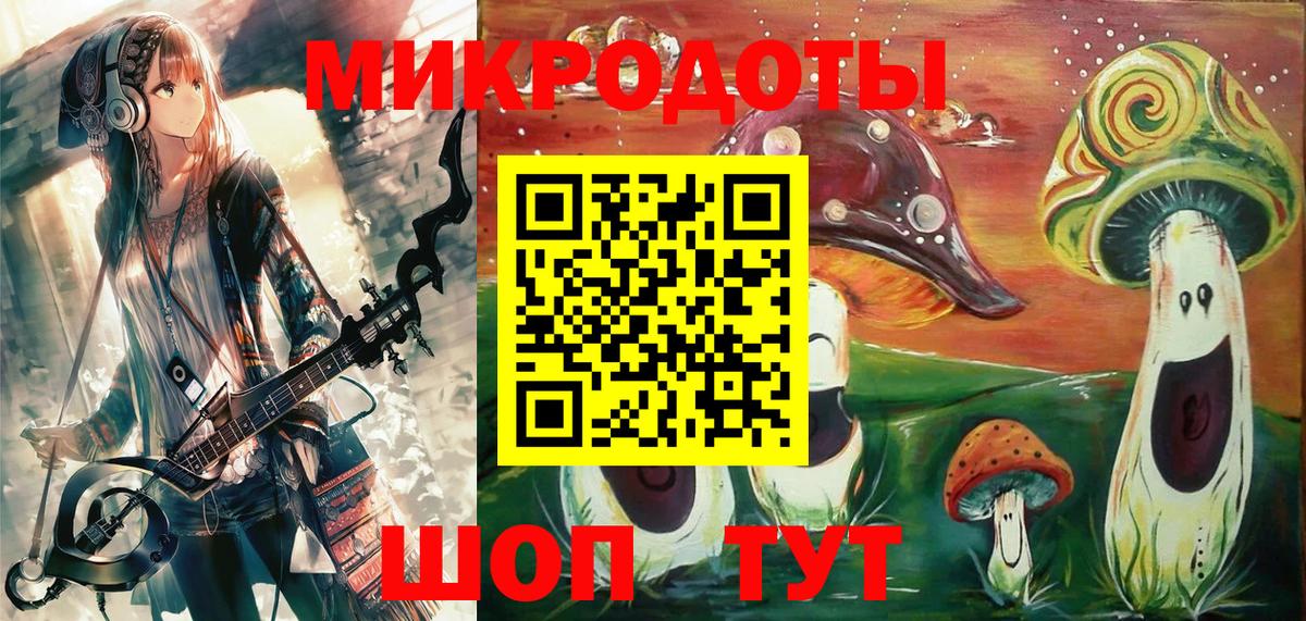Псилоцибиновые грибы Psilocybine cubensis Горно-Алтайск