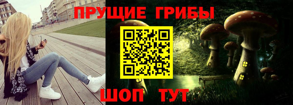 Горно-Алтайск  Галлюциногенные грибы Psilocybine cubensis  Вход с VPN 